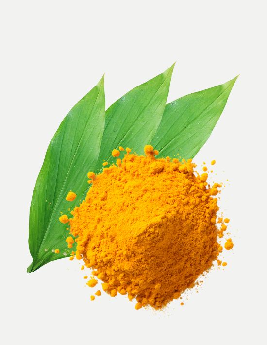 Luxor Allure Turmeic Powder Tea Tree