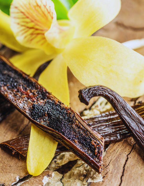 Luxor Allure Jasmin Flower Essential Oil (4)