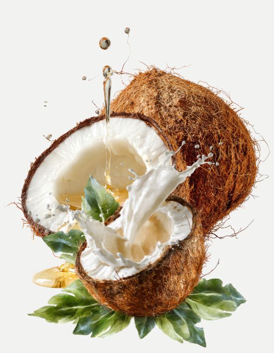 Luxor Allure Organic Lip Balm Coconut