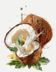 Luxor Allure Organic Lip Balm Coconut